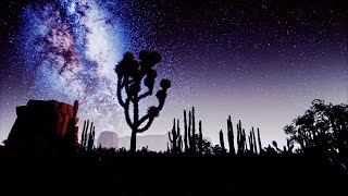 Peaceful Desert Oasis Night Sounds for Sleep and Relaxation | 8 HOURS