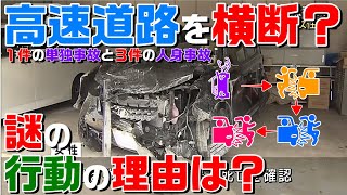 高速道路を歩いて往復する謎行動！？高速道路ではどうしたら良いのか？