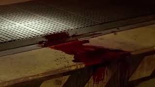 Lost S03E23 Charlie's death