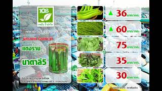 ราคาผักประจำวันที่ 21 ตุลาคม 2564 108เทคโนฟาร์ม