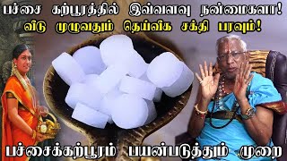 பச்சைக்கற்பூரத்தில் இவ்வளவு நன்மைகளா  | Pachai Karpooram Benefits |  Green camphor and its benefits