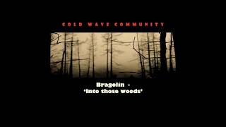 Bragolin -  Into those Woods