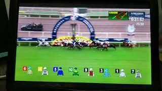 (海外競馬)第29回香港ヴァーズ(GⅠ)プレイバック