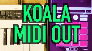 Koala Midi Out Tutorial