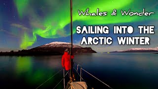 Sailing into the Arctic Winter - Northern Norway (Sailing Free Spirit)