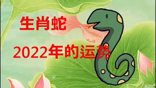 生肖蛇2022年和太岁关系