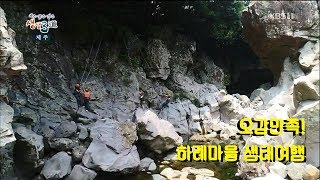 생생3道 '오감만족! 하례마을 생태여행' [KBS제주]