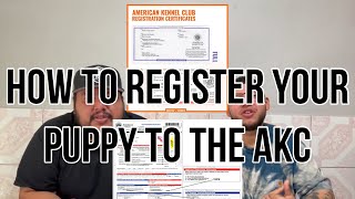 How to register a puppy to the AKC (American kennel club) 