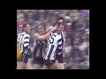 Peter Daicos Career Highlights