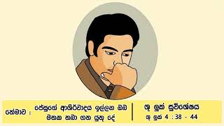 තේමාව : ජේසුගේ ආශිර්වාදය ඉල්ලන ඔබ මතක තබා ගත යුතු දේ  – ශු. ලූක් 4: 38 – 44