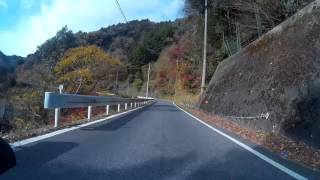 秋の千葉県道88号線