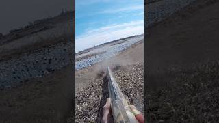 Snow goose jump! #hunter #ducks #birds #viralvideo #snowgoosehunting #snow #goose