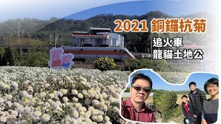 2021 火車與銅鑼杭菊拍攝與龍貓土地公之輕旅行