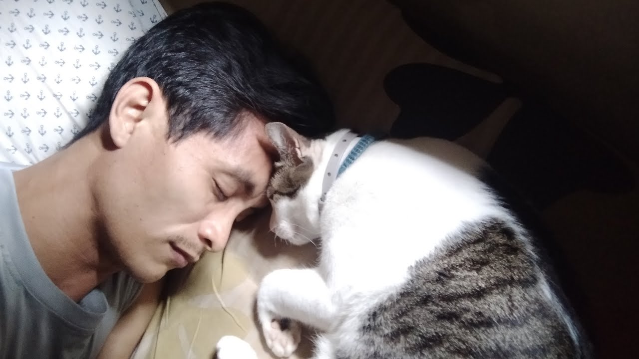 Sleep Livestream Youtube