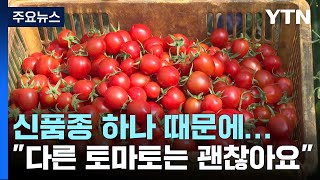 신품종 하나 때문에 소비 급감...\