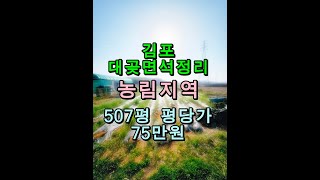 김포 대곶면 송마리 농지 땅 507평 /평당 75만원