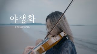 박효신(Park Hyo Shin) - 야생화(Wild Flower) - 바이올린 커버 ✨ RAHAM VIOLIN COVER ✨