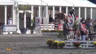 HorseJunkiesUnited.com - Chris Burton and Holstein Park Leilani - Show Jumping Pau CCI4