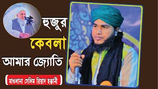 হুজুর কেবলার শানে মন জুড়ানো মানকাবাত | বুঝি শুধু একটাই আমি হুজুর কিবলার পাগলা। #Mohammad_Salim_Riyad