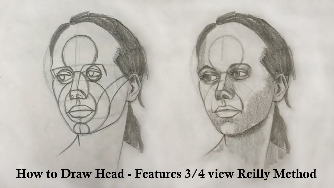 How To Draw Head Using Reilly Method