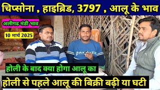 आलू मे तेजी और आयेगी या नहीं 💥 अच्छे आलू के भाव मे तेजी बरकरार है 💥aaj ka aalu ka bhav | potato