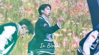 241005 ZEROBASEONE THE FIRST TOUR IN THAILAND [TIMELESS WORLD] 석매튜 SEOKMATTEW fancam | In Bloom