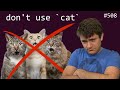 don't use cat! (intermediate) anthony explains #508