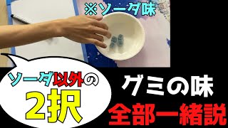 【検証】グミの味、全部一緒じゃない？【flat-不在工房】