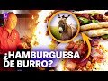 ¿Hamburguesa de burro? Conoce los platos hechos por carne de burro en China