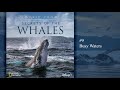 Music from Secrets of the Whales - Busy Waters (Soundtrack by Raphaelle Thibaut)
