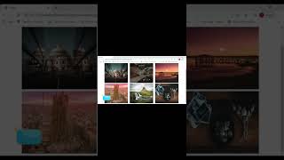How to Design Image Gallery Hover effects in HTML, CSS & Bootstrap | Gallery with hover Tutorial