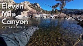 Colorado Winter Fly Fishing: Eleven Mile Canyon