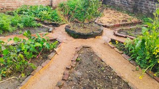 How to Keep Garden Pathways Weed-Free: Simple, Affordable, and Eco-Friendly Method!