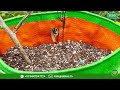 ഗ്രോ ബാഗിലെ ചെടികൾക്ക് ഇനി ഇരട്ടി വളർച്ച choosing the right potting mixture for different plants