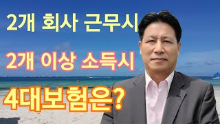 2개 이상 회사에 근무하거나, 2가지 이상 소득이 있는 경우 4대보험도 이중 납부? ft.4대보험