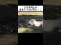 うさぎ同士が鼻をくっつけると…