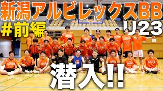 【電撃潜入】Bリーグ \