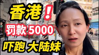 纽约回国了，香港罚款5000，物价吓跑大陆妹，甩火腿暴走扫街