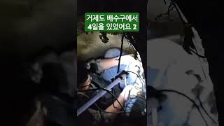 거제도 어느아파트 배수구에서 4일을있었어요 2