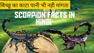 Scorpion facts in hindi | बिच्छू से जुडे amazing facts.