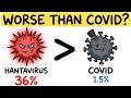 ALL OF HANTAVIRUS explained in 12 Minutes