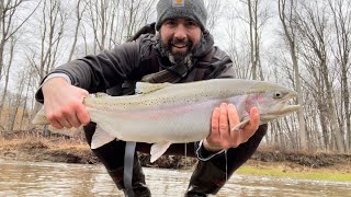 CENTERPIN fishing for WINTER STEELHEAD in High Water #steelheadfishing #winterfishing #greatlakes