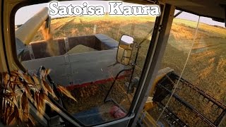 Satoisaa! - Avanti Puhdaskaura - Puintia 2016