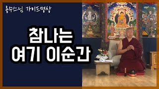 지금 여기 이순간에 깨어있기 _ 용수스님 가이드명상