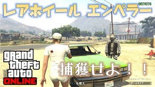 Gta5 レア車の宝庫 レアビフタ レアカラハリ レアbfサーファー出現 秘密の場所 1 43 グラセフ5 裏技 トリック Gta5 レア車の宝庫 レアビフタ レアカラハリ レアbfサーファー出現 秘密の場所 1 43 グラセフ5 裏技 トリック