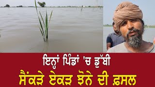 Roads ਹੇਠ ਬਣੇ Drain System ਬੰਦ ਹੋਣ ਕਾਰਨ ਬਰਸਾਤੀ ਪਾਣੀ ਨੇ ਡੋਬੇ Farmer