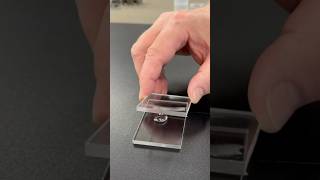 Laminating Plastic with SciGrip 16