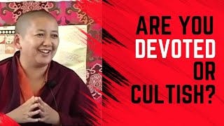 Is It Devoted or Cultish? (Buddhism 101) Khandro Rinpoche