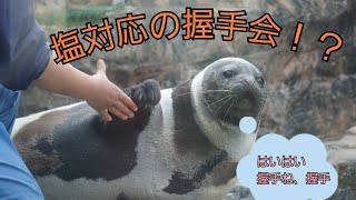 【アクアマリンふくしま】のクラカケアザラシ　RibbonSeal Marine Science Museum, Fukushima Prefecture(In Apr 　of2022)