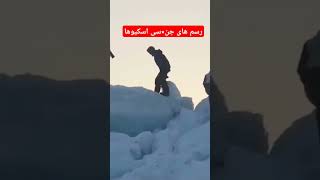 سنت تعویض همسر و تعارف همسر به مهمان در اسکیموها #shorts #short #travel #tiktok #دانستنی #countries